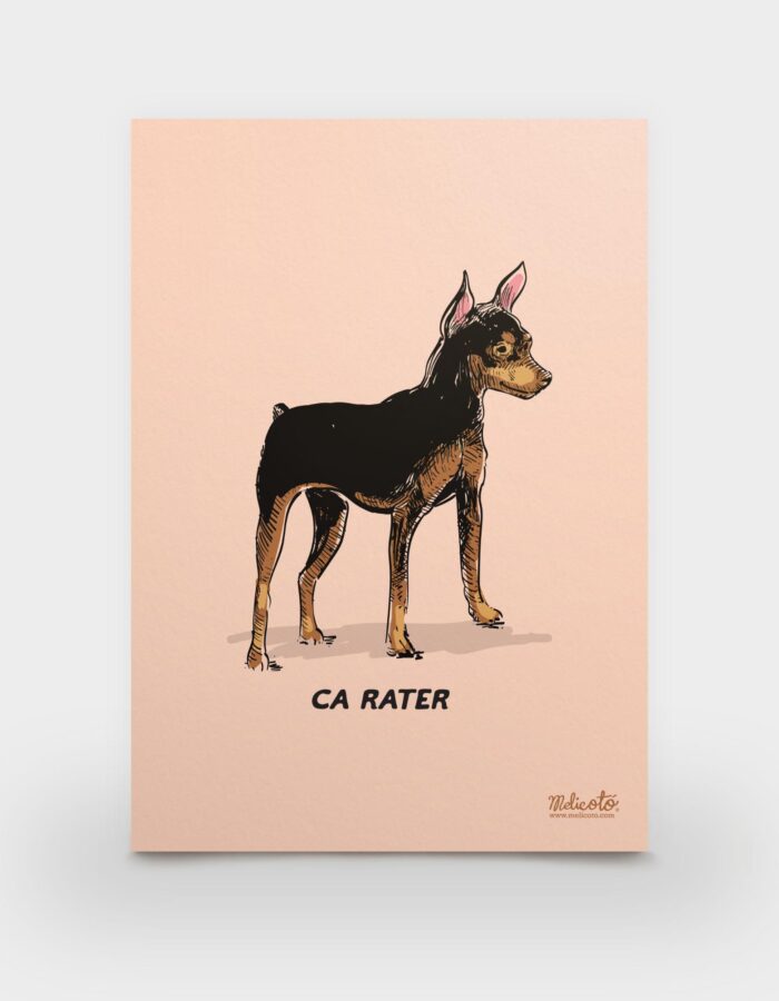 Làmina A6 "Ca rater"