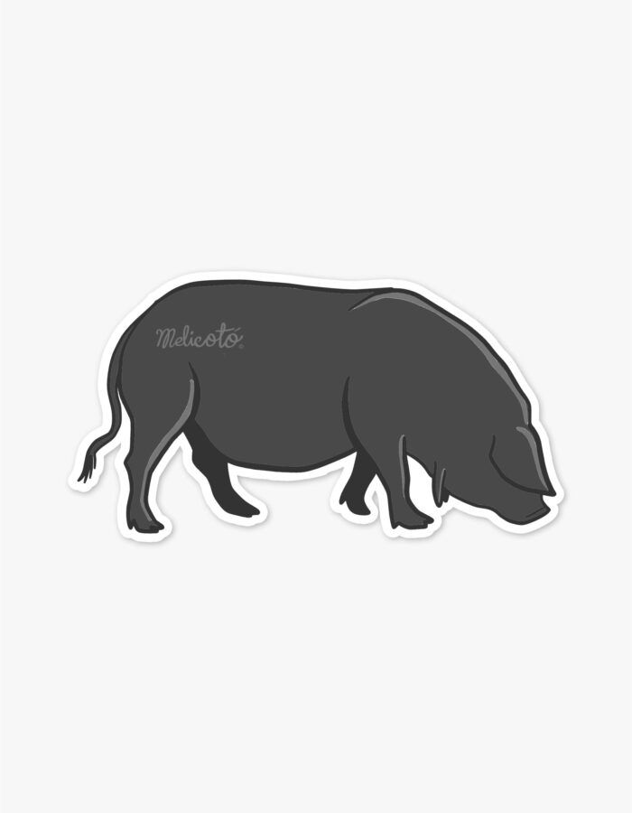 Adhesiu "Porc negre"